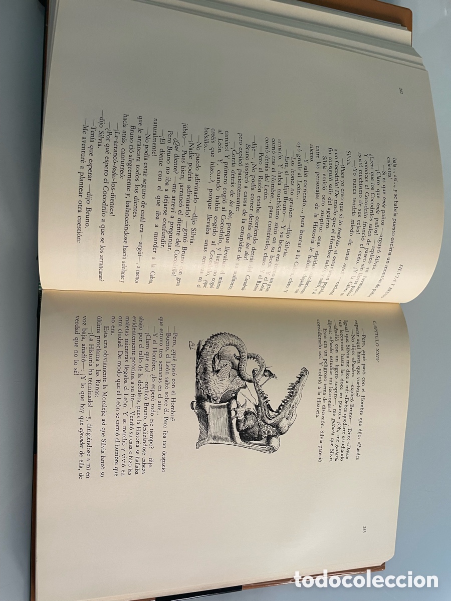 Libros de segunda mano: Silvia y Bruno. Lewis Carroll. Anaya - Foto 16