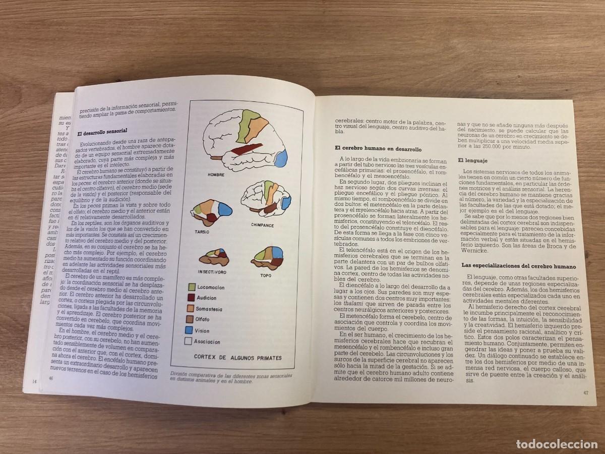 Libros de segunda mano: Origen y evoluci&oacute;n del hombre - Foto 5