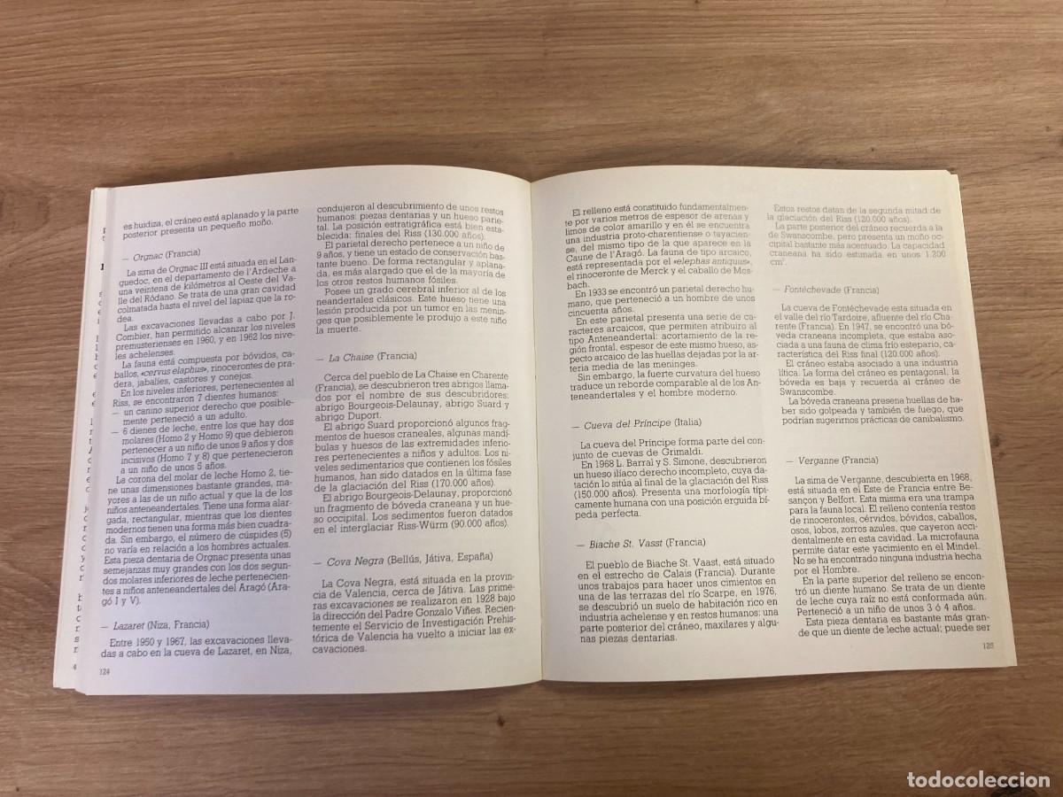 Libros de segunda mano: Origen y evoluci&oacute;n del hombre - Foto 6