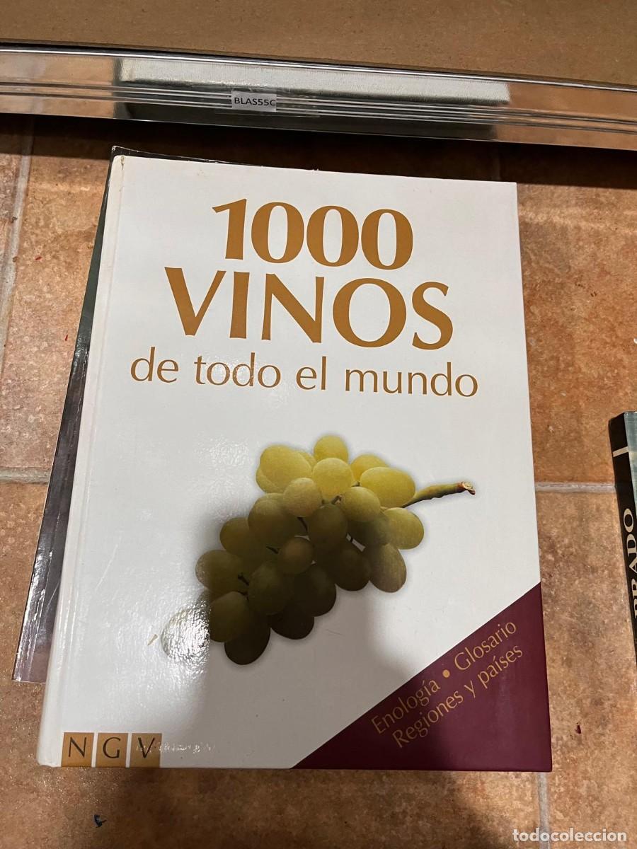 Libros de segunda mano: BLAS55C - 1000 VINOS DE TODO EL MUNDO, GLOSARIO, ENOLOGIA, REGIONES Y PAISES