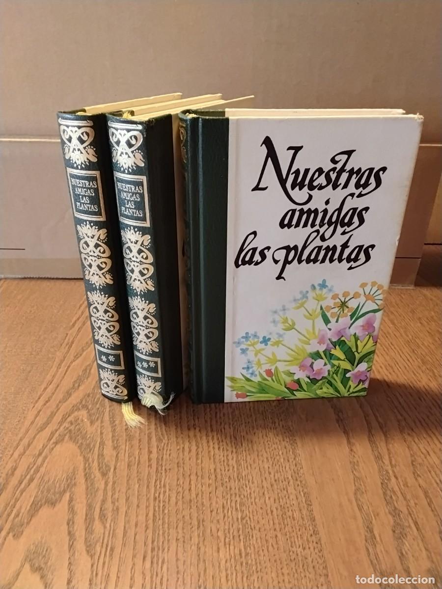 Libros de segunda mano: Nuestras amigas las plantas - Foto 1