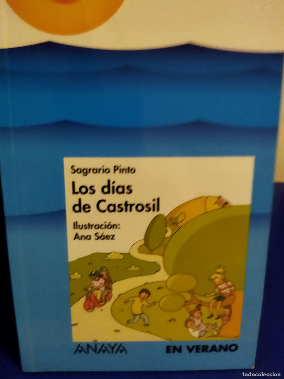 Libros de segunda mano: Los d&iacute;as de castrosil Sagrario Pinto - Foto 1