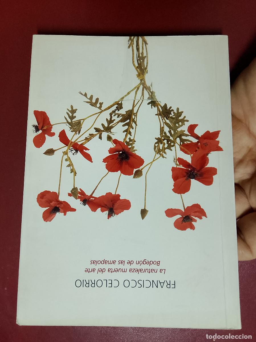 Libri di seconda mano: Francisco Celorrio: La naturaleza muerta del arte. Bodeg&oacute;n de las amapolas