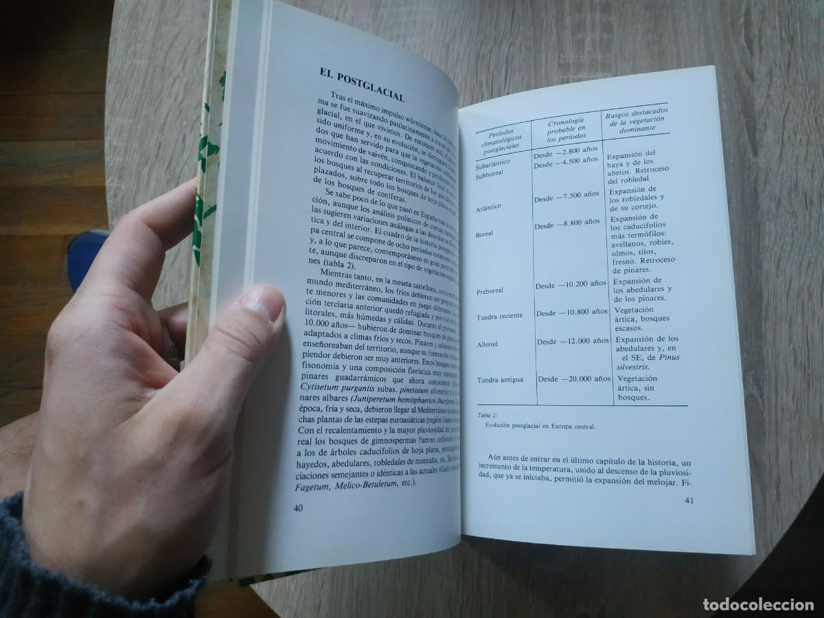 Libros de segunda mano: Madrid verde - Jes&uacute;s Izco - Foto 5