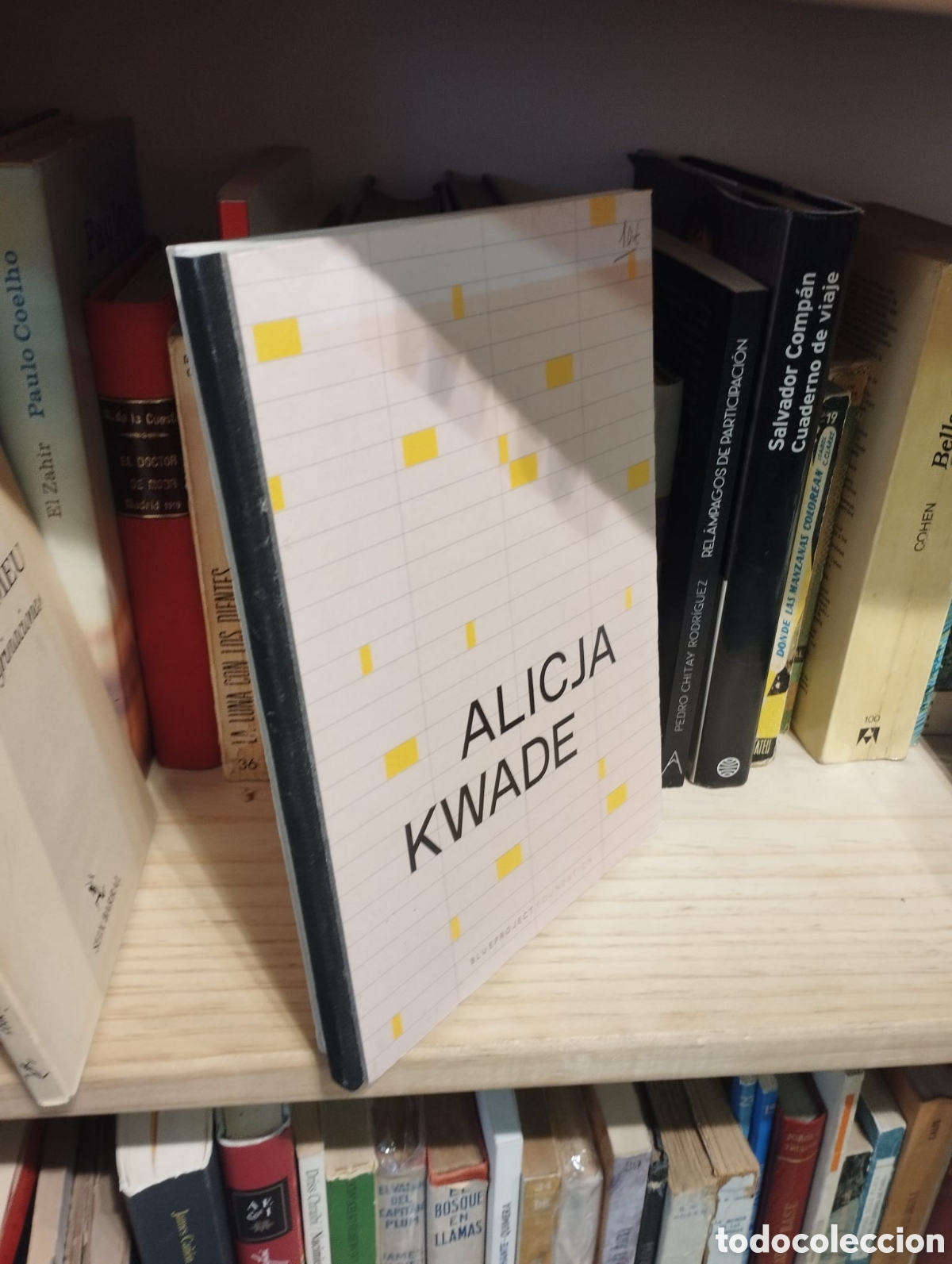 Gebrauchte B&uuml;cher: Glances - Alicja Kwade