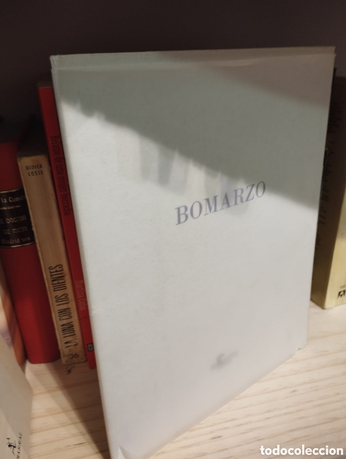 Libros de segunda mano: Bomarzo (L&aacute;minas) Ejemplar 60 de 100 - Foto 1