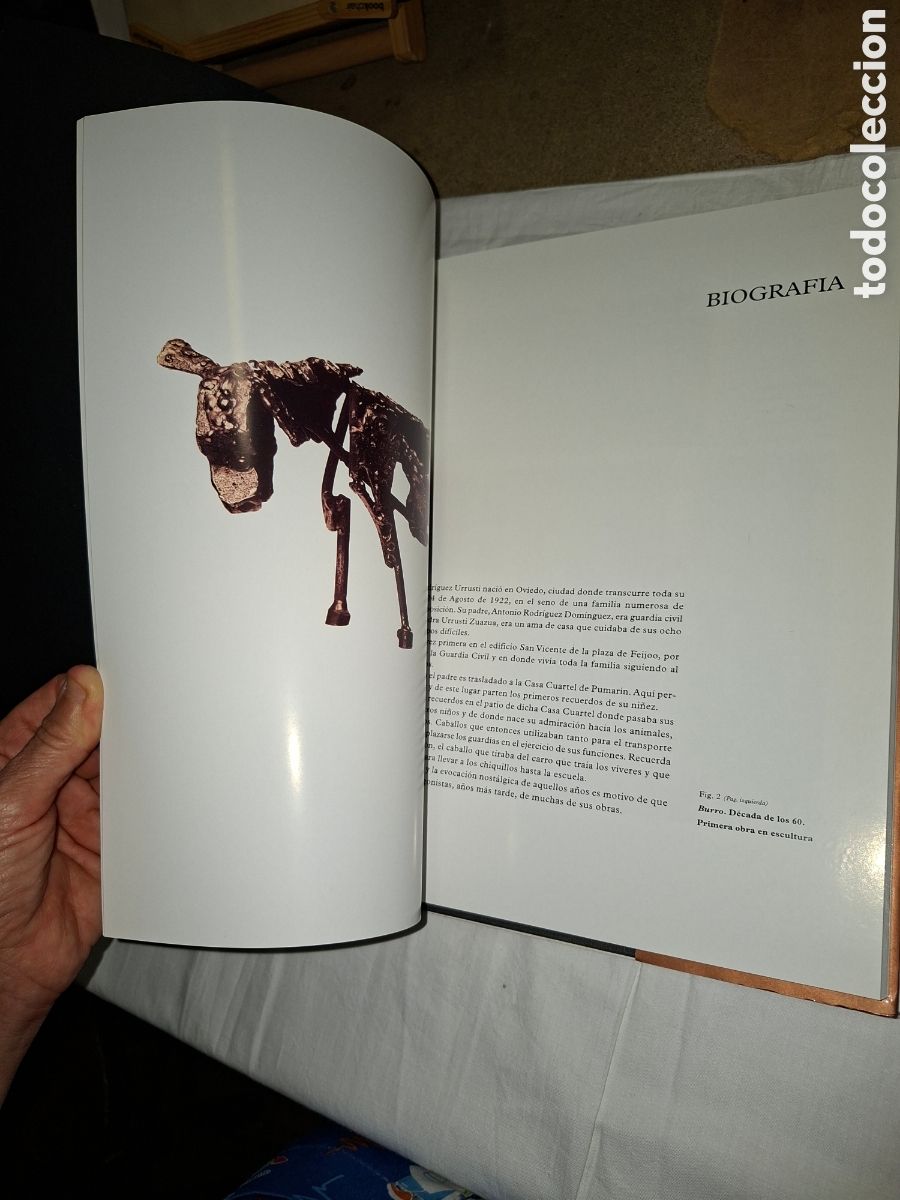 Libros de segunda mano: RAFAEL RODRIGUEZ URRUSTI.EL LENGUAJE DEL HIERRO.ARPA EDITORIAL 1998.-1&ordf; EDICION - Foto 13