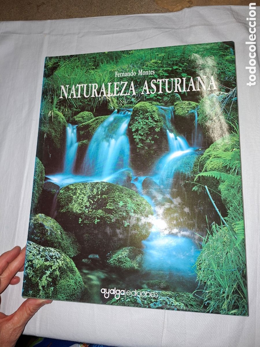 Libros de segunda mano: NATURALEZA ASTURIANA.FERNANDO MONTES.AYALGA EDICIONES 1990.-1&ordf; EDICION