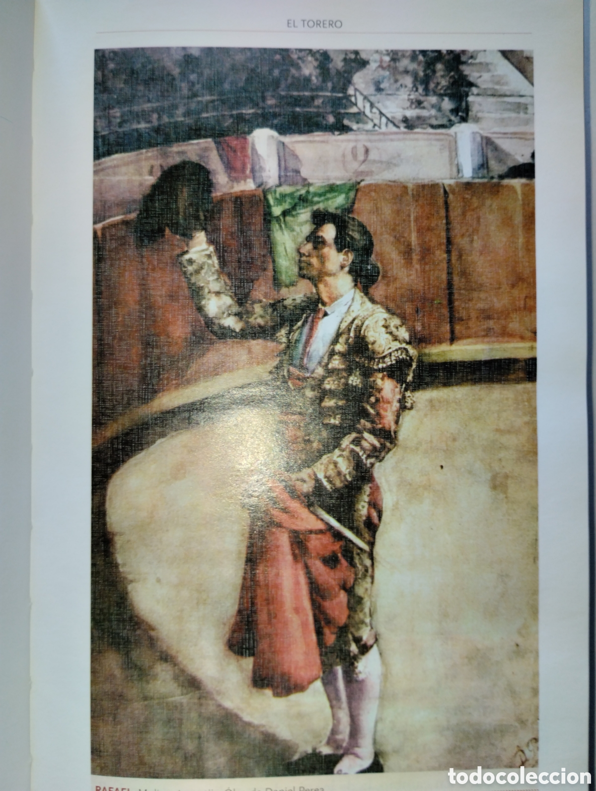 Libros de segunda mano: COSSIO, LOS TOROS,EL TOREO 4 - Foto 16