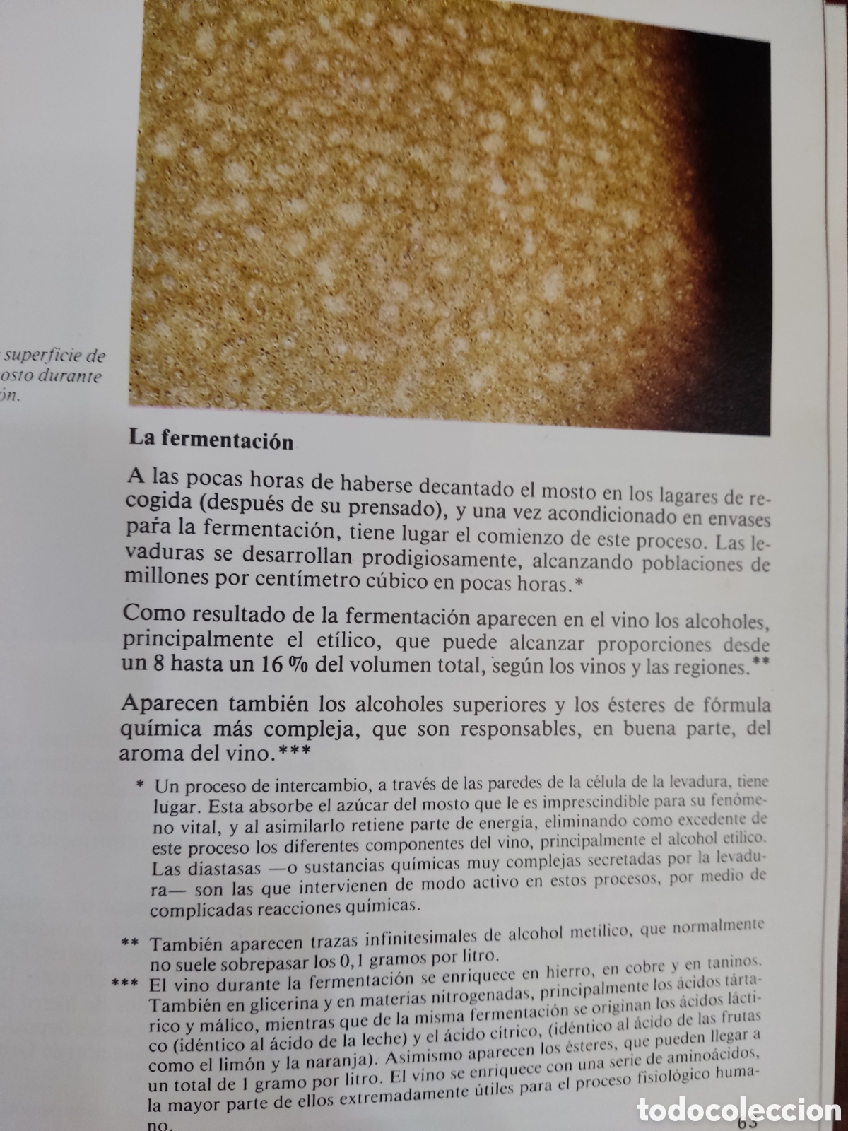 Libros de segunda mano: Vi&ntilde;as y vinos primera edici&oacute;n - Foto 4