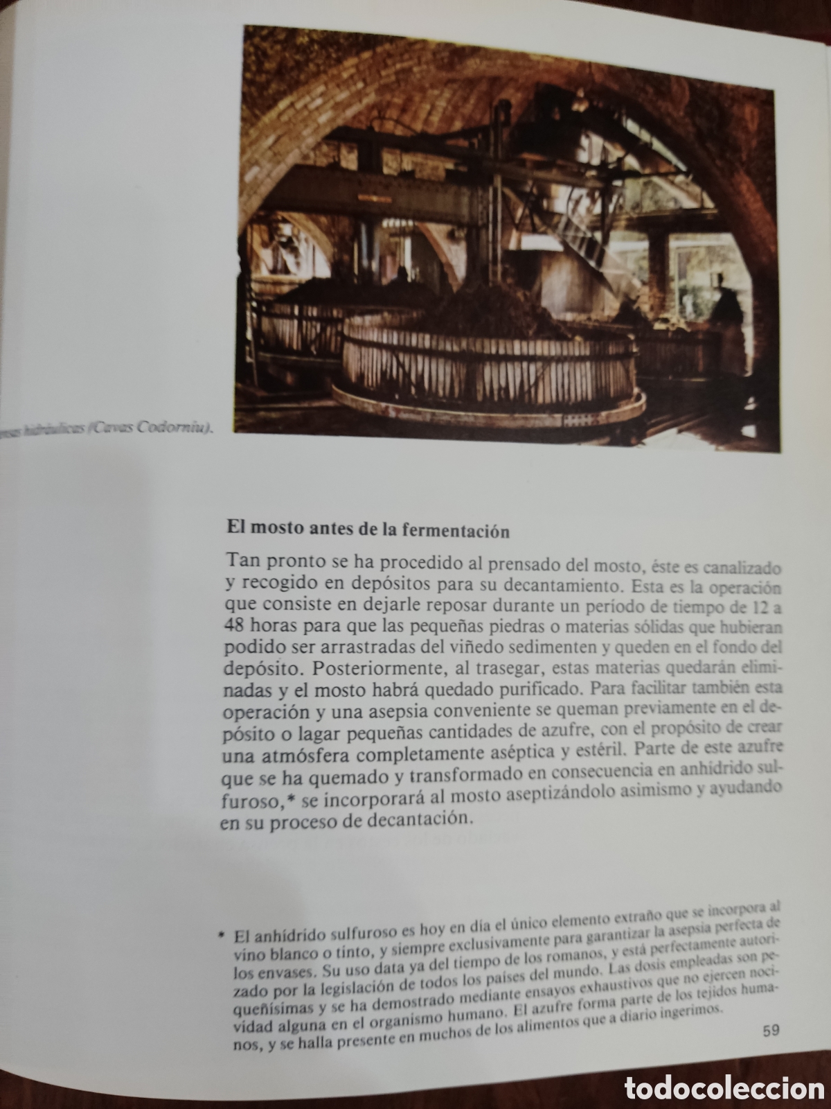 Libros de segunda mano: Vi&ntilde;as y vinos primera edici&oacute;n - Foto 5