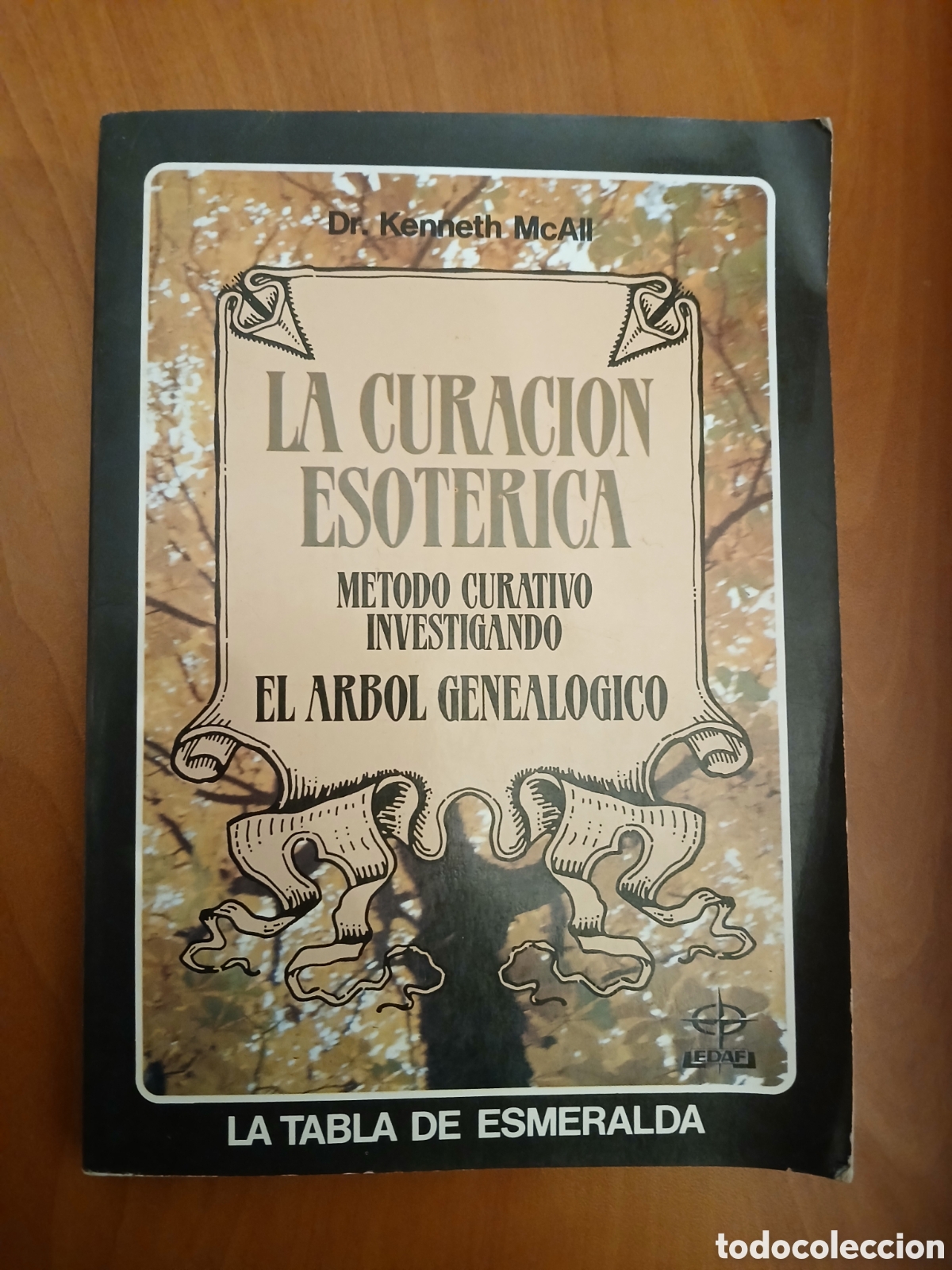 Libros de segunda mano: La Curaci&oacute;n esot&eacute;rica. Dr Kenneth McAll. - Foto 1