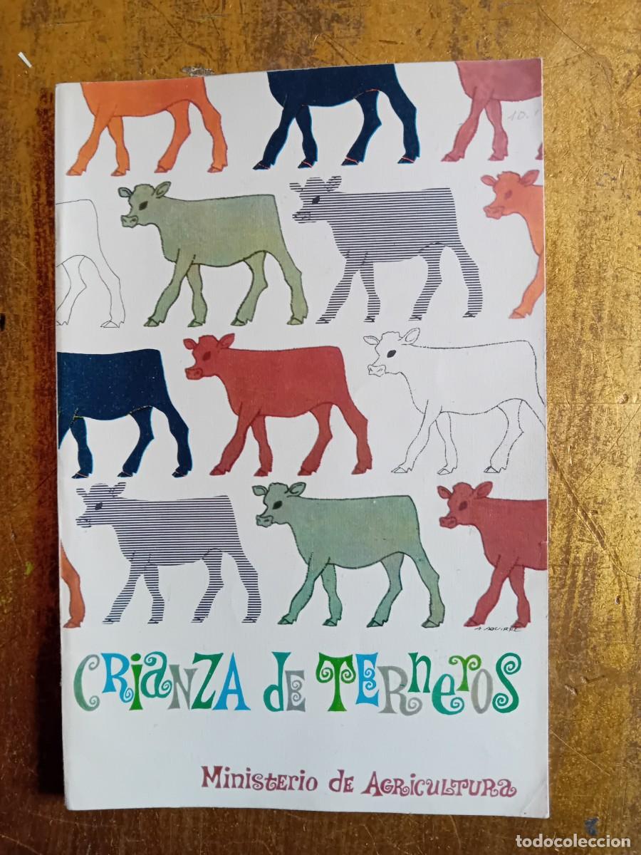 Gebrauchte B&uuml;cher: Crianza de terneros ministerio de agricultura 1966, segunda edici&oacute;n, n 16.