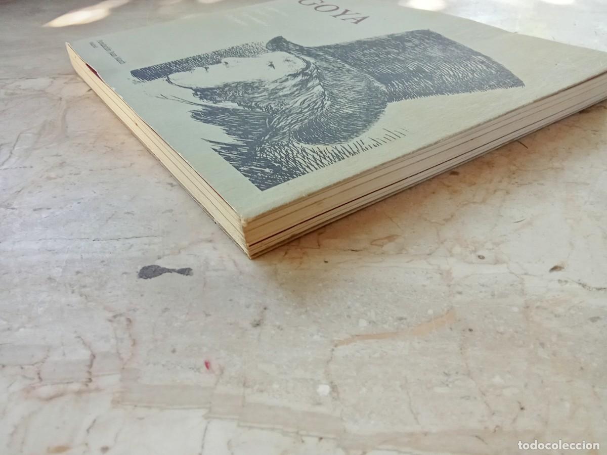 Libros de segunda mano: GOYA / ALFONSO E.PEREZ SANCHEZ / CJA 370 - Foto 4