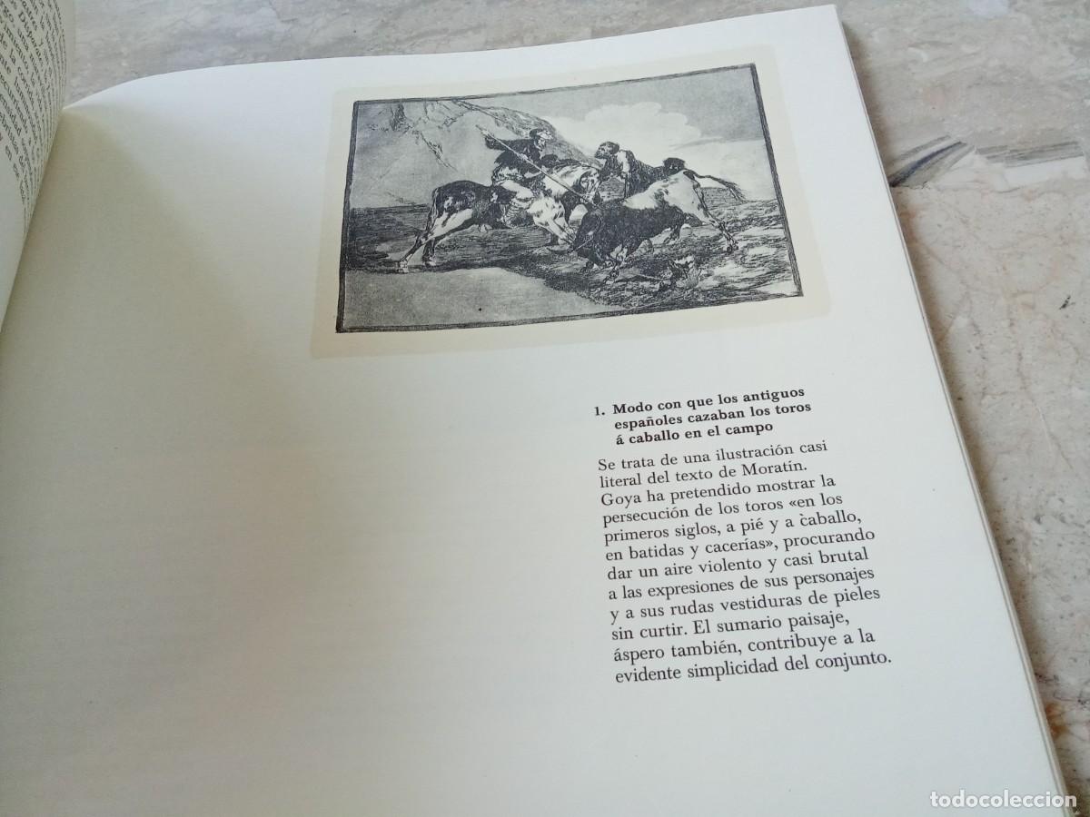 Libros de segunda mano: GOYA / ALFONSO E.PEREZ SANCHEZ / CJA 370 - Foto 10