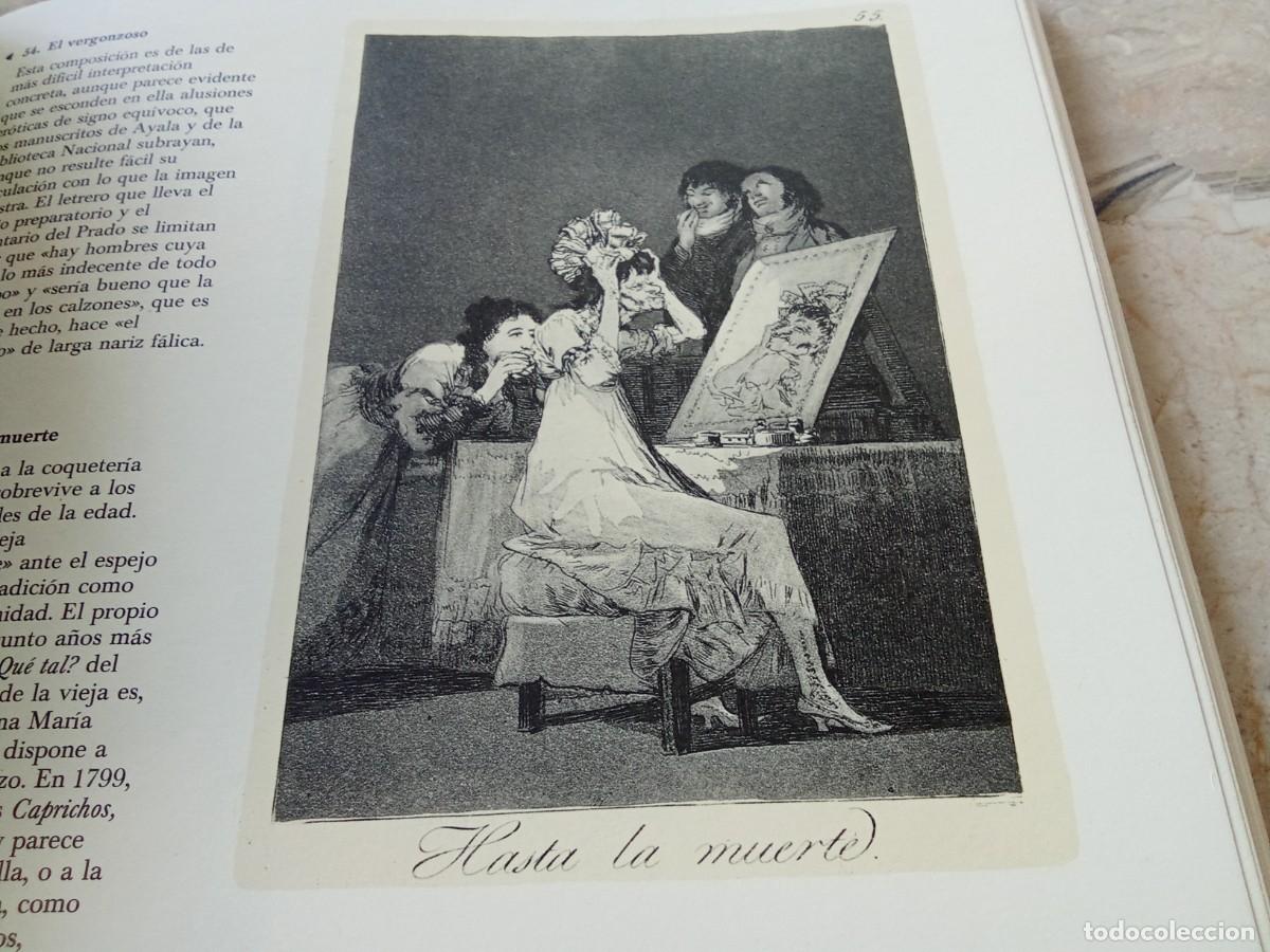 Libros de segunda mano: GOYA / ALFONSO E.PEREZ SANCHEZ / CJA 370 - Foto 22