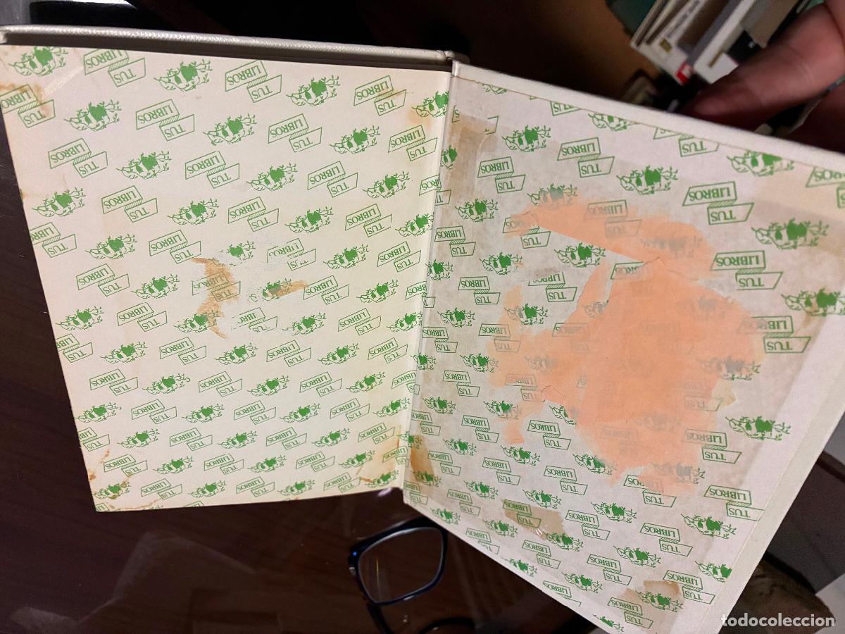 Libros de segunda mano: TARTARIN EN LOS ALPES, Anaya, Tus libros - Foto 2
