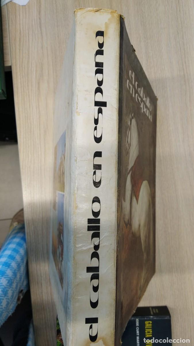 Libros de segunda mano: El caballo en Espa&ntilde;a - Foto 2