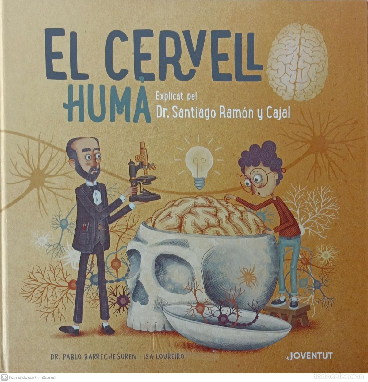 Libros de segunda mano: El cervell hum&agrave; - Pablo Barrecheguren - Foto 1