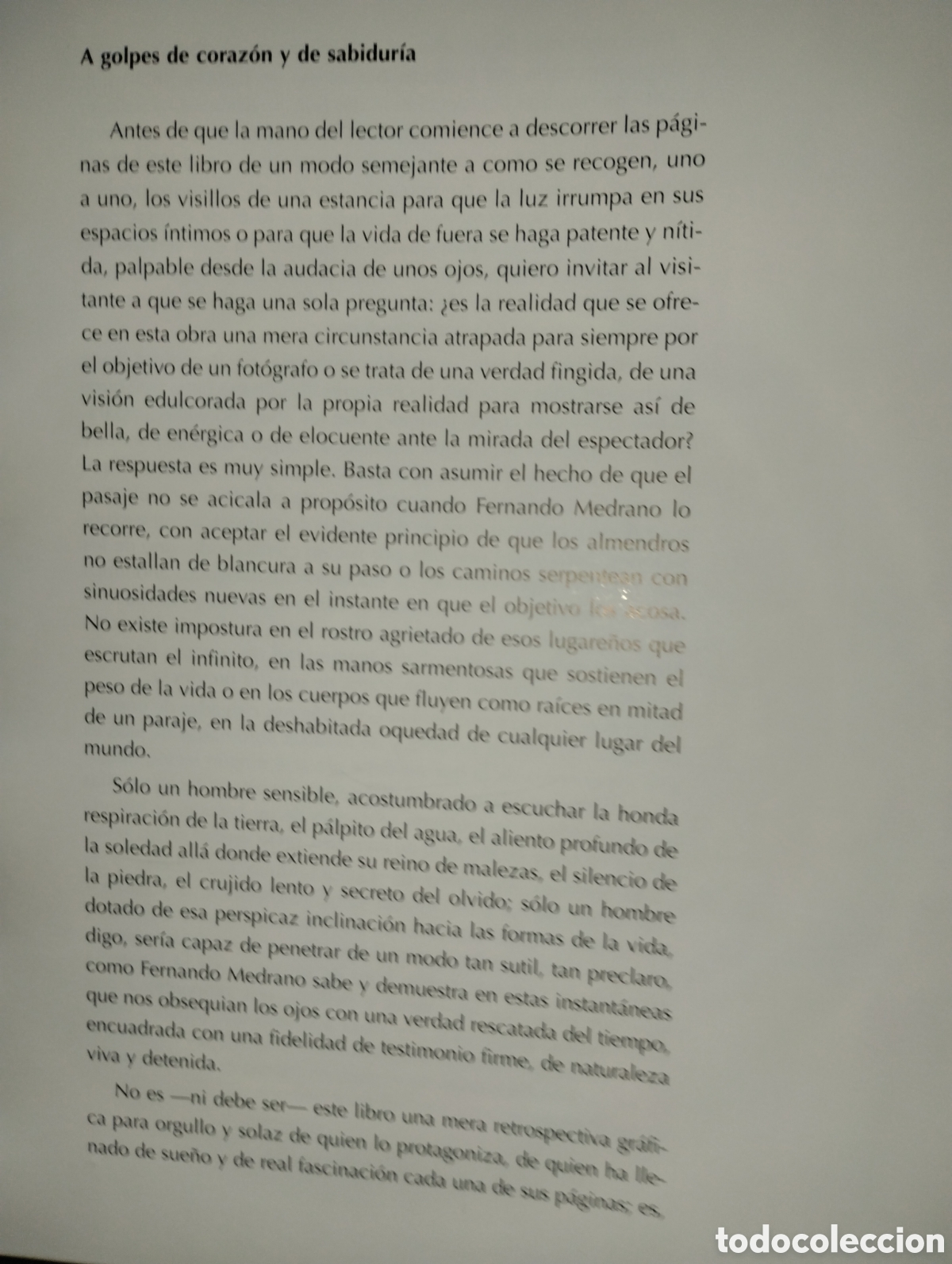 Libros de segunda mano: LA MIRADA Y LA VIDA, FERNANDO MEDRANO - Foto 6