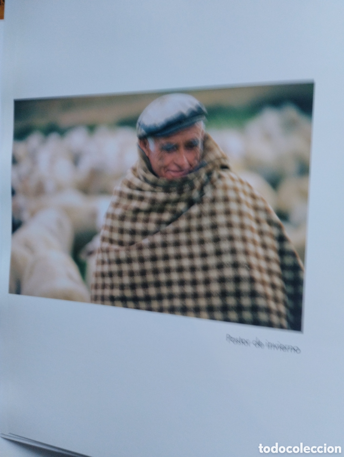 Libros de segunda mano: LA MIRADA Y LA VIDA, FERNANDO MEDRANO - Foto 17
