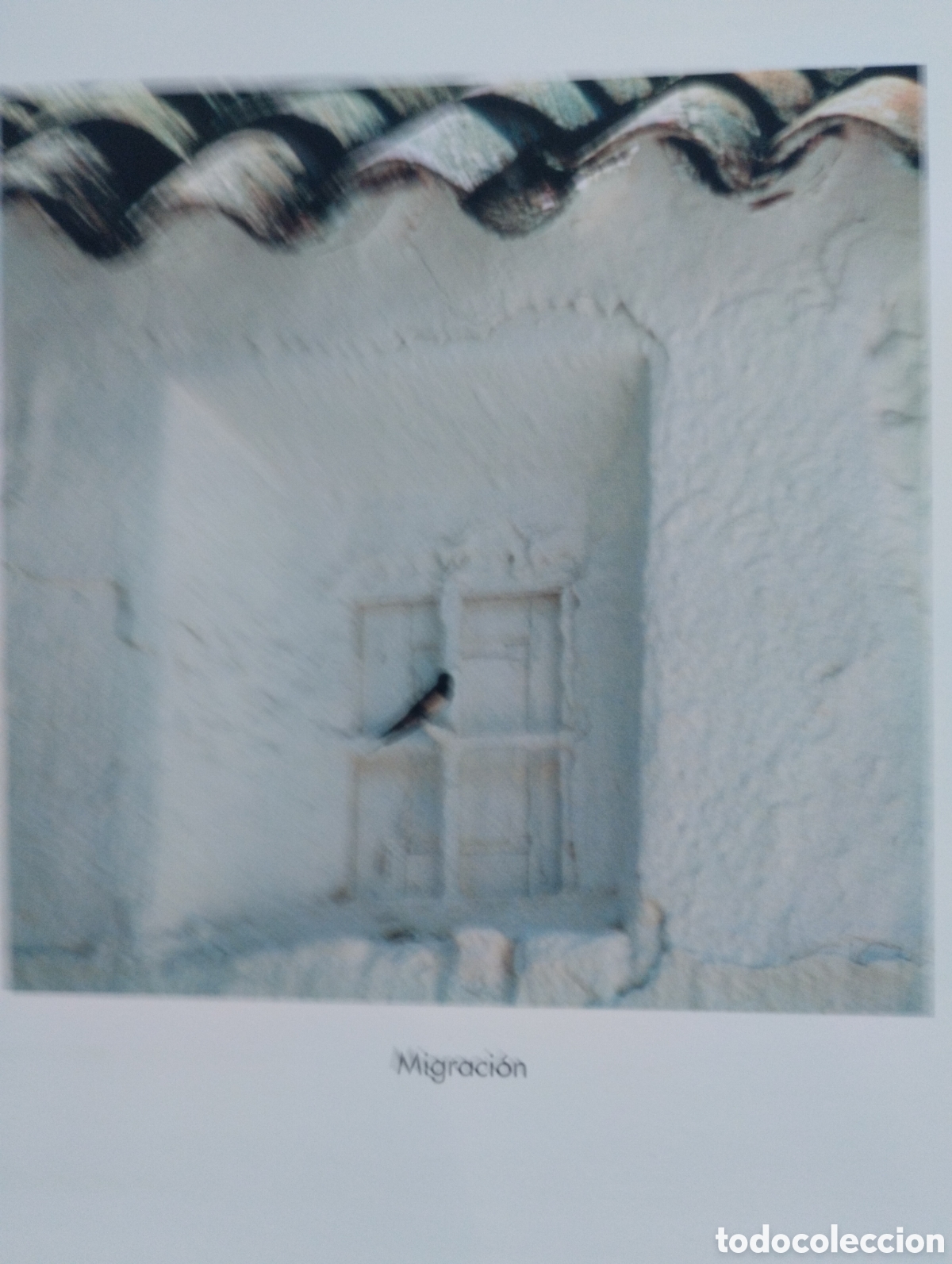 Libros de segunda mano: LA MIRADA Y LA VIDA, FERNANDO MEDRANO - Foto 20