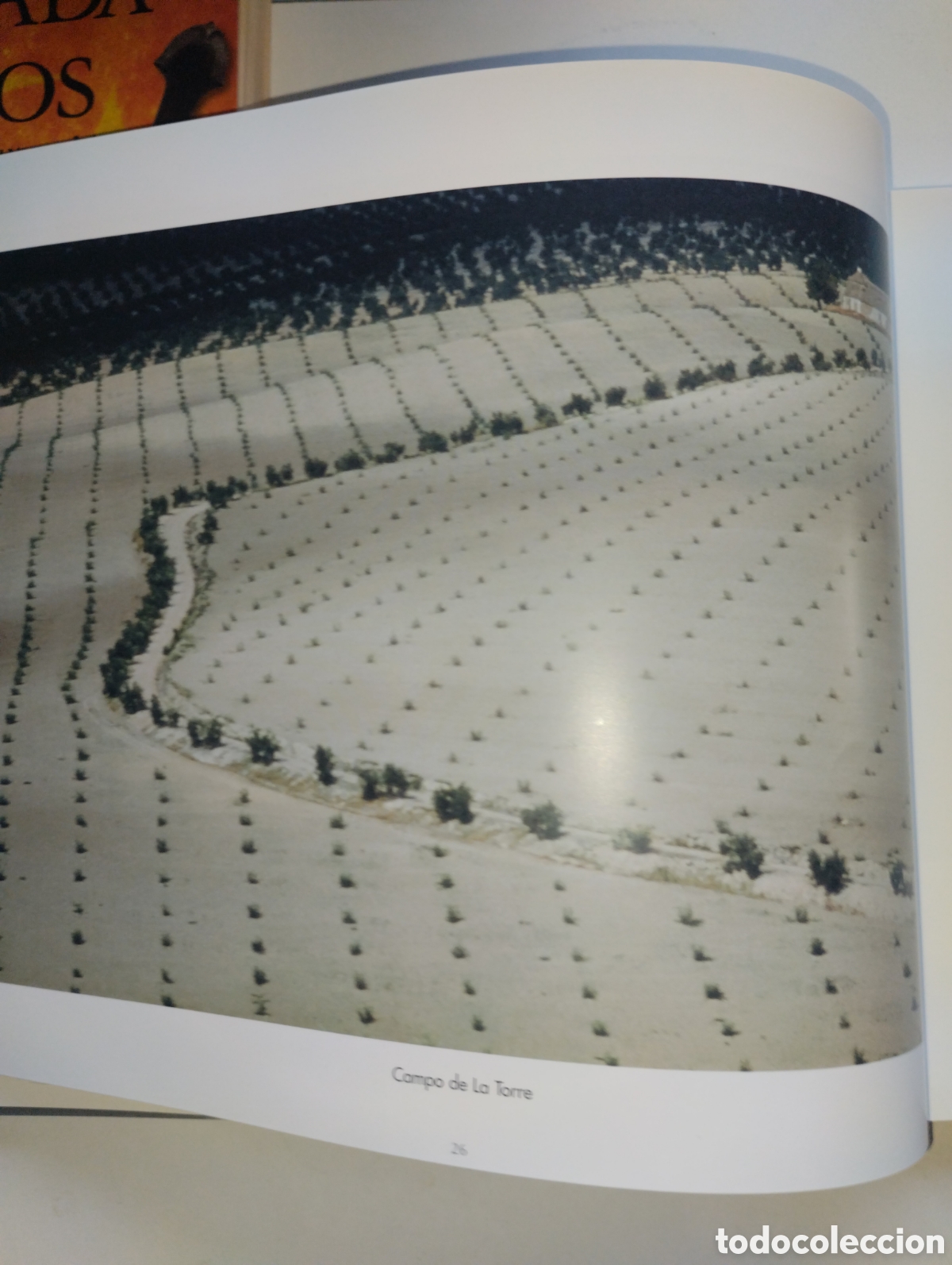 Libros de segunda mano: LA MIRADA Y LA VIDA, FERNANDO MEDRANO - Foto 22