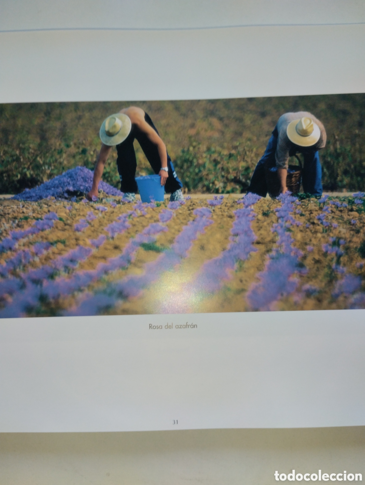 Libros de segunda mano: LA MIRADA Y LA VIDA, FERNANDO MEDRANO - Foto 24