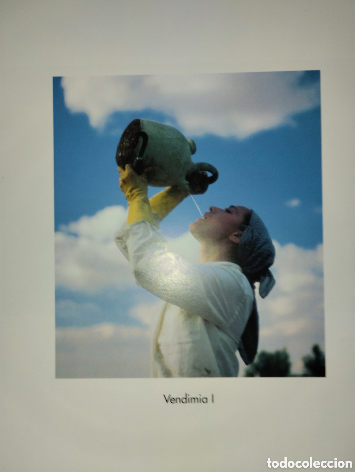 Libros de segunda mano: LA MIRADA Y LA VIDA, FERNANDO MEDRANO - Foto 25