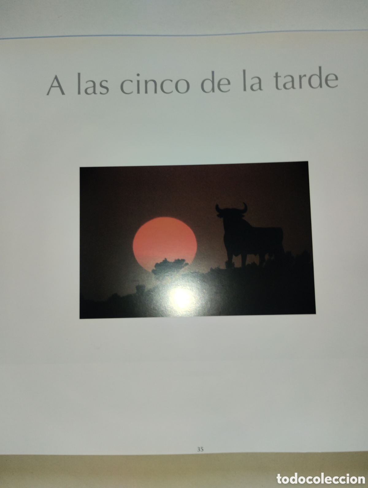 Libros de segunda mano: LA MIRADA Y LA VIDA, FERNANDO MEDRANO - Foto 26