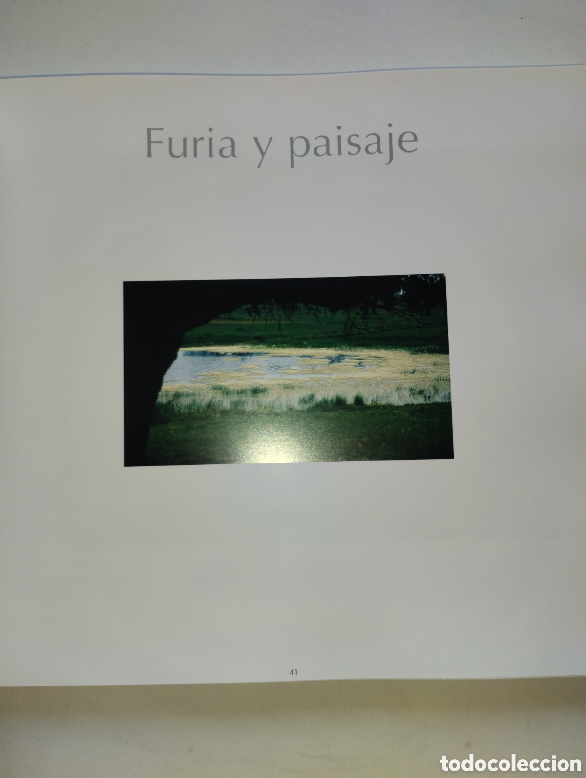 Libros de segunda mano: LA MIRADA Y LA VIDA, FERNANDO MEDRANO - Foto 28