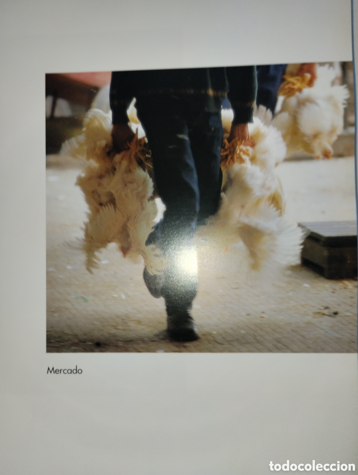 Libros de segunda mano: LA MIRADA Y LA VIDA, FERNANDO MEDRANO - Foto 30