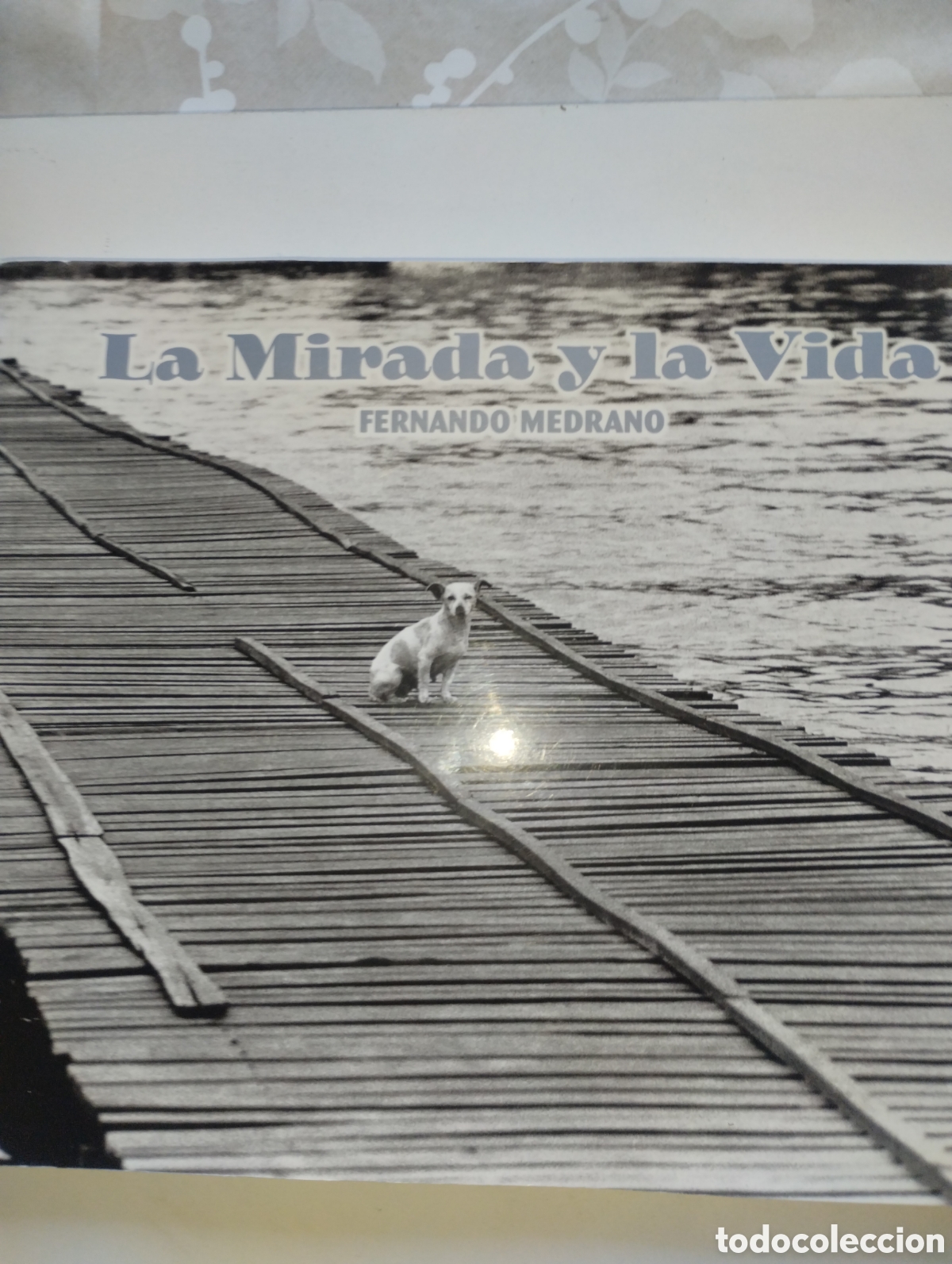 Libros de segunda mano: LA MIRADA Y LA VIDA, FERNANDO MEDRANO - Foto 1