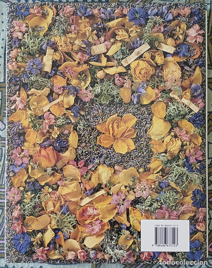 Libros de segunda mano: El libro del POPURR&Iacute; - Penny Black Ed. Acanto 1995 - Foto 2