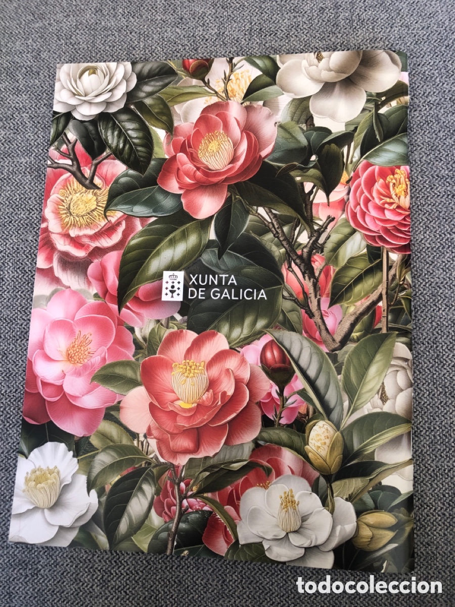 Libros de segunda mano: La Ruta de la Camelia. Galicia. 2024. ASM - Foto 2