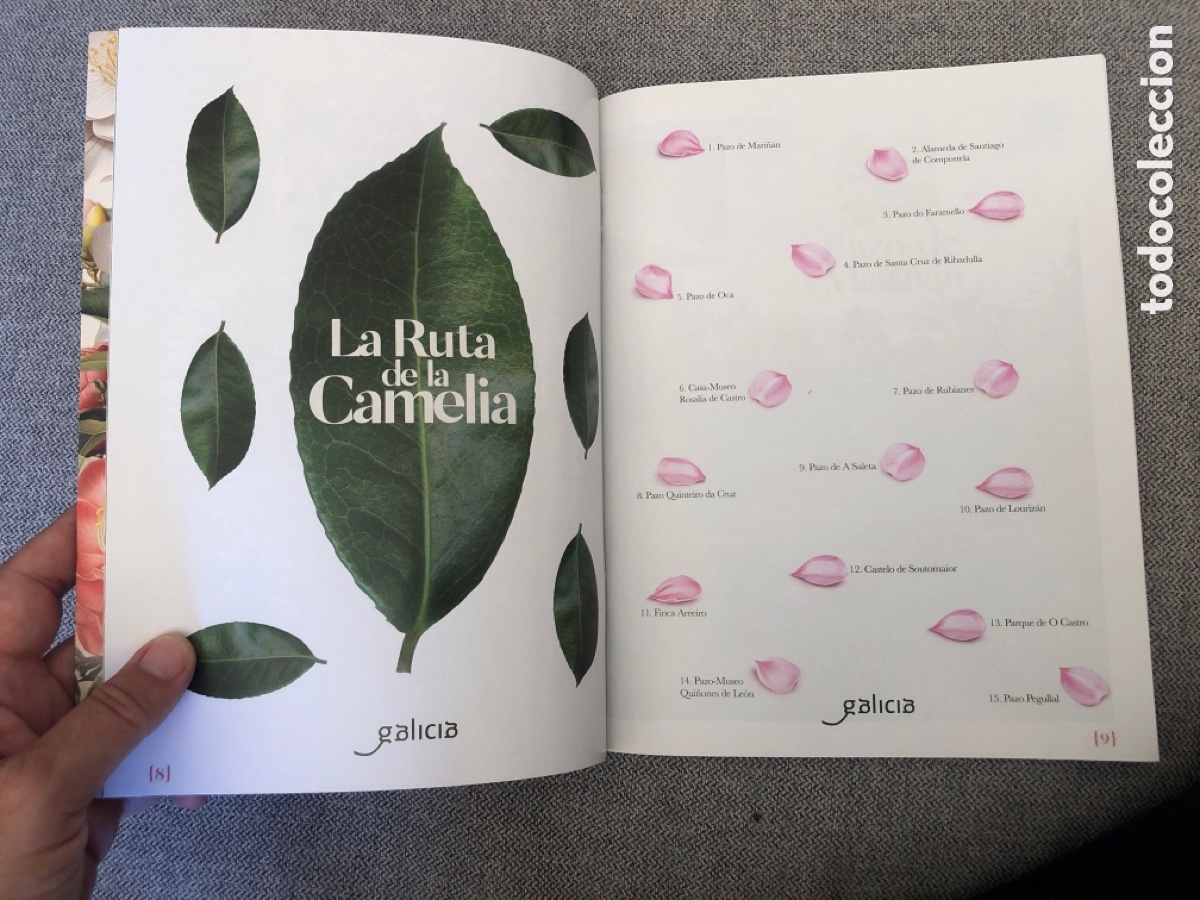 Libros de segunda mano: La Ruta de la Camelia. Galicia. 2024. ASM - Foto 4