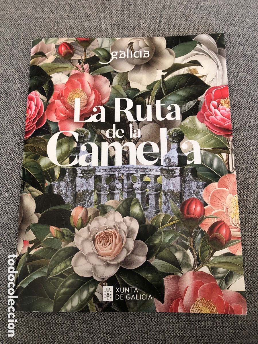 Libros de segunda mano: La Ruta de la Camelia. Galicia. 2024. ASM - Foto 1