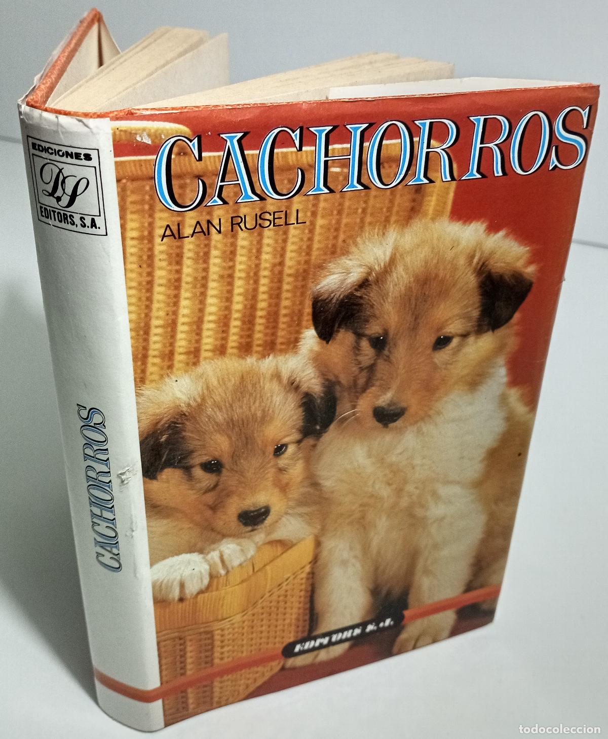 Libros de segunda mano: Cachorros - Rusell, Alan - Foto 3