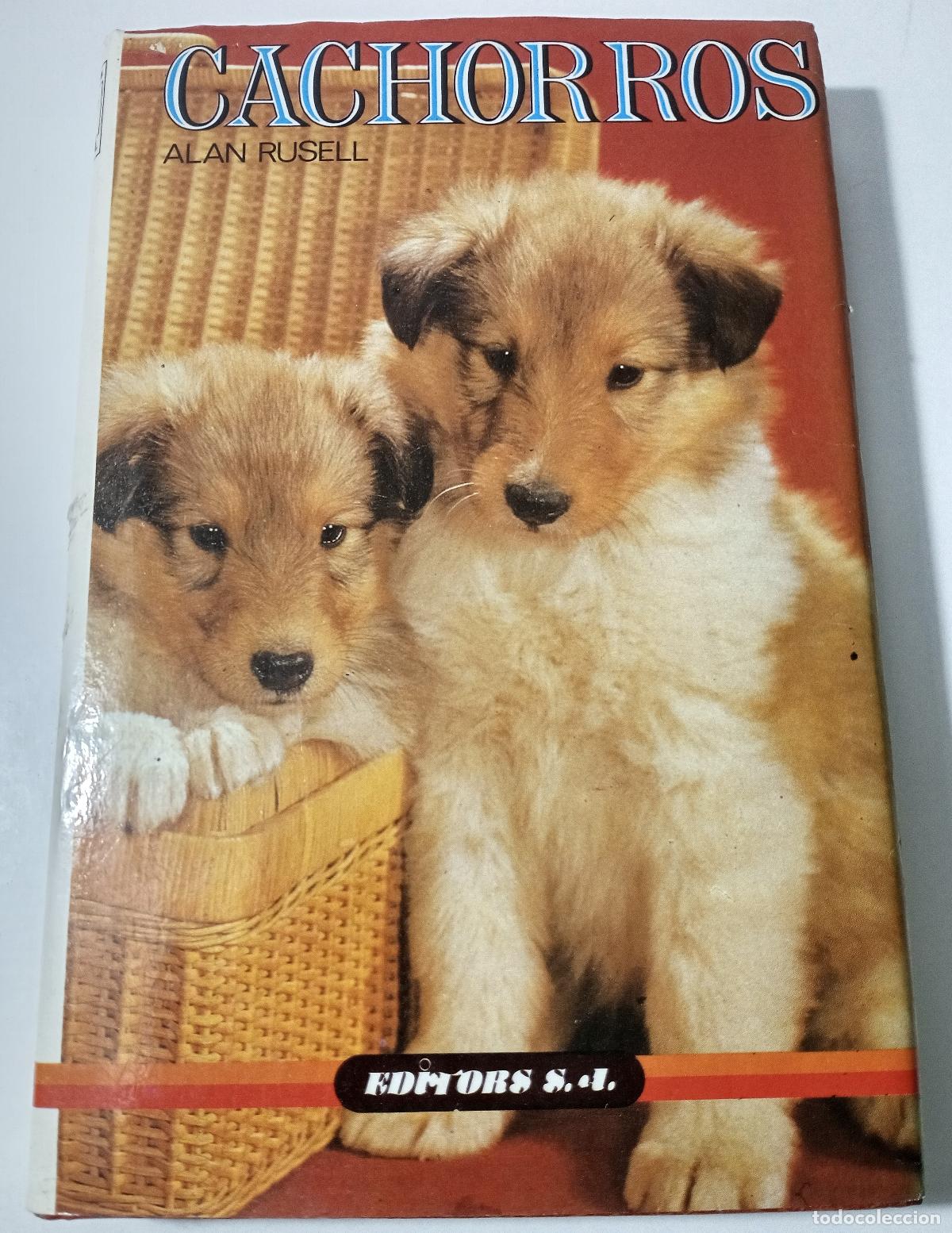 Libros de segunda mano: Cachorros - Rusell, Alan - Foto 1