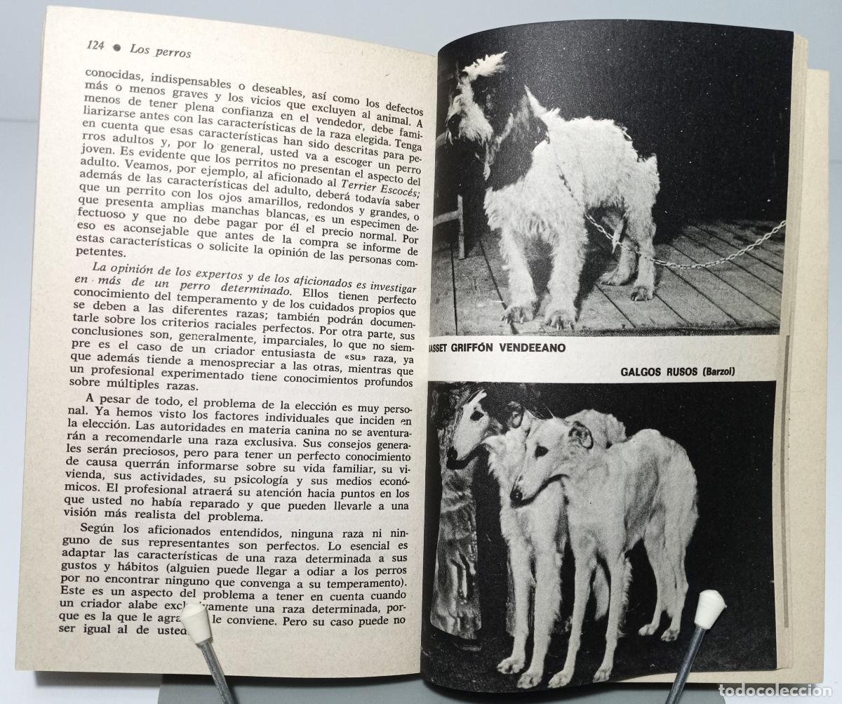 Libros de segunda mano: Los perros - Freydiger, Jacques - Foto 2