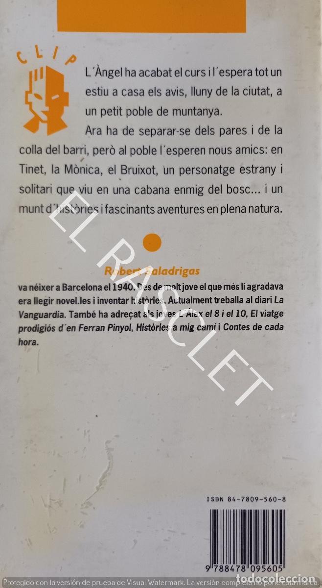 Libros de segunda mano: ENTRE JULIOL I SETEMBRE -ROBERT SALADRIGAS - EN CATALAN - Foto 5