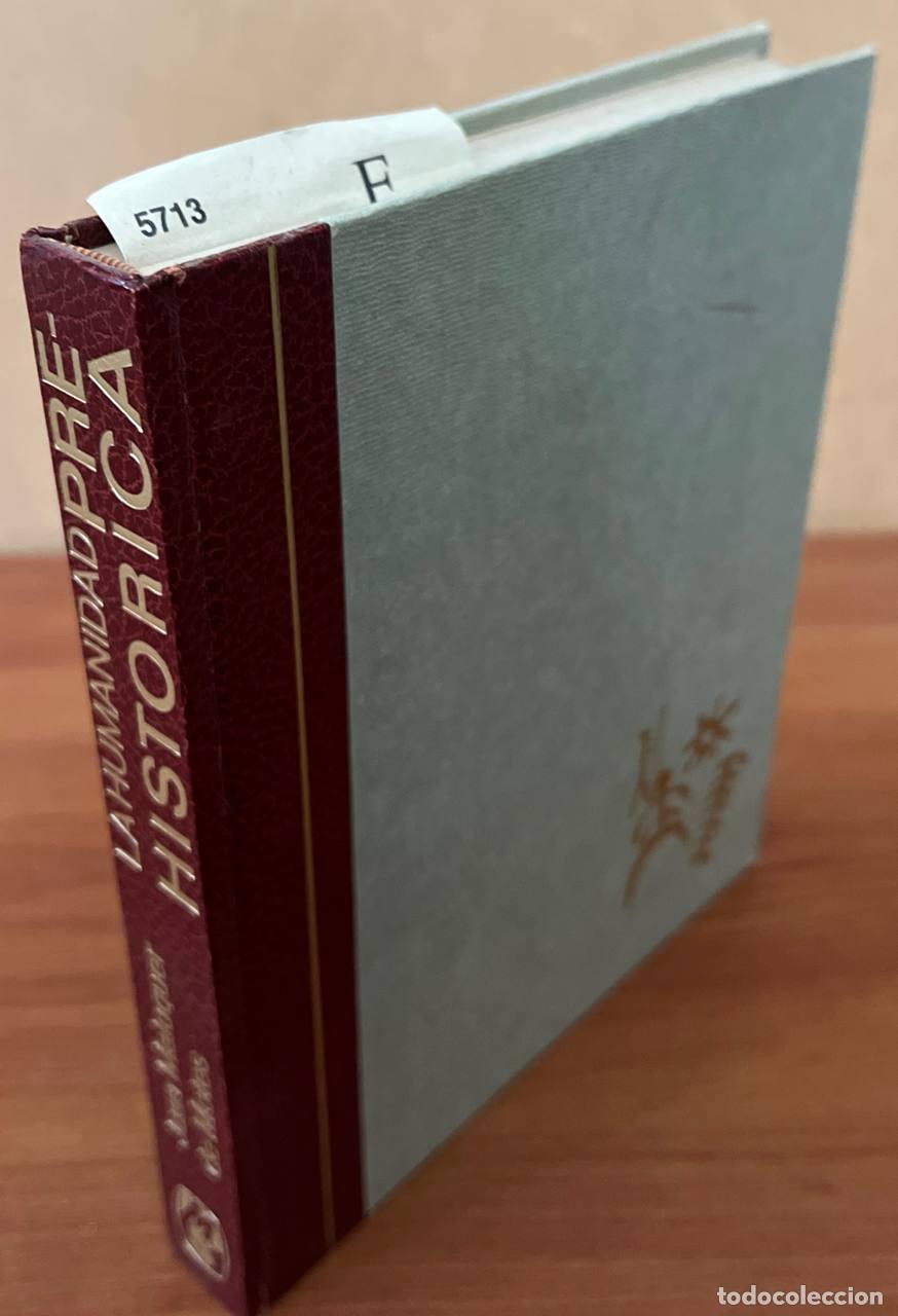 Libros de segunda mano: MALUQUER DE MOTES, Juan - La humanidad prehist&oacute;rica. - Foto 1
