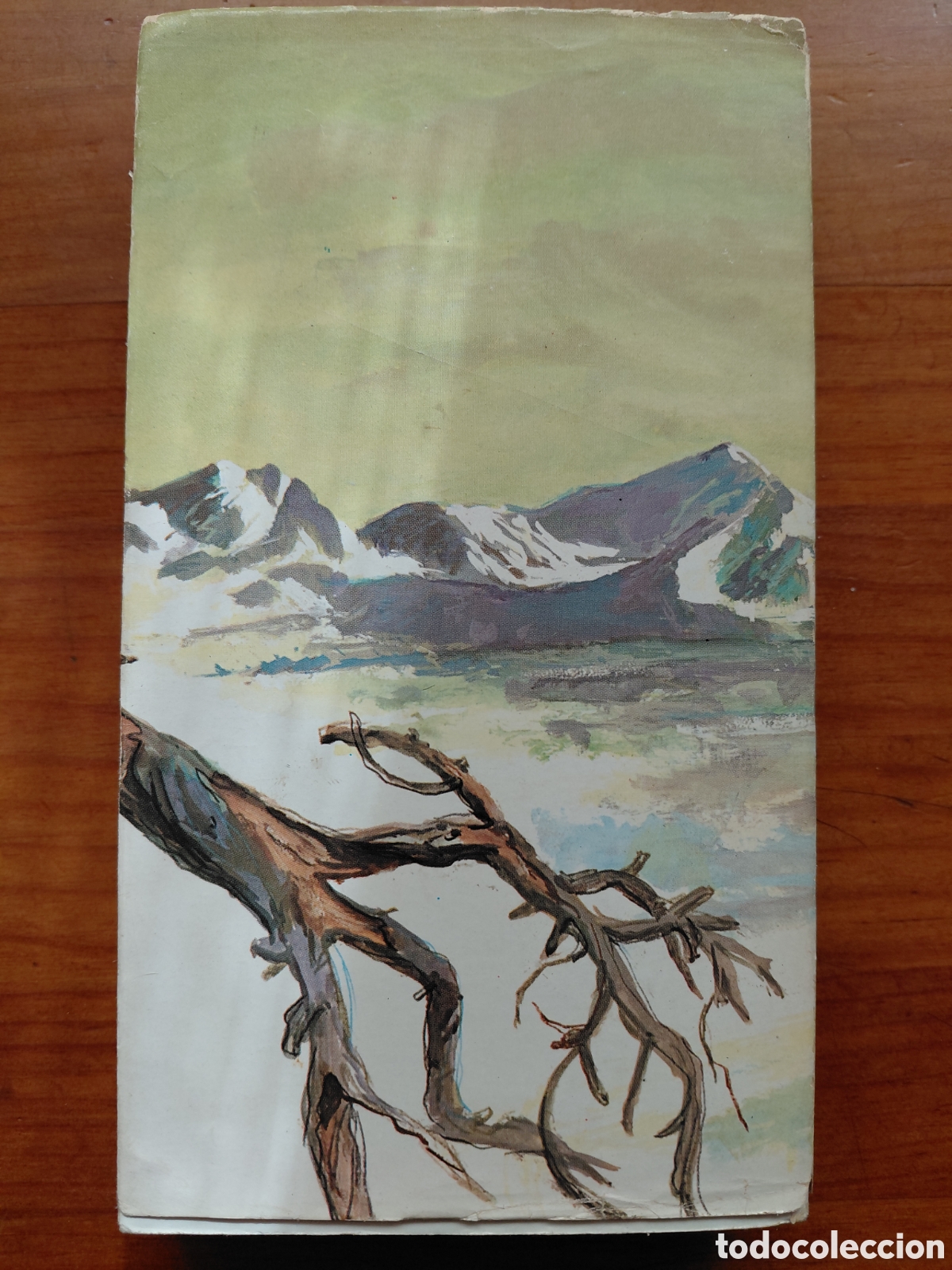 Libros de segunda mano: Kamuraska, Anne Herbert - Foto 2