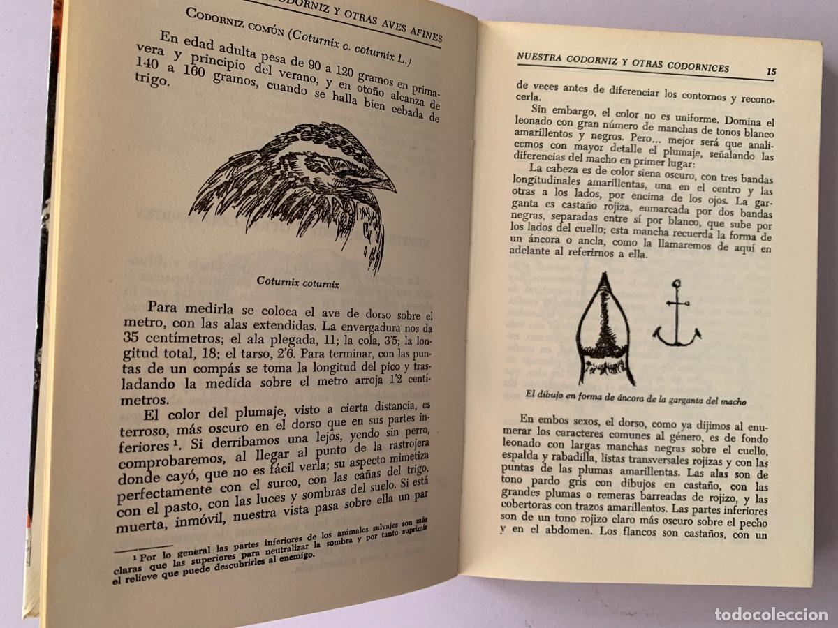 Libros de segunda mano: La codorniz y otras aves afines (Bols 29) - Foto 3