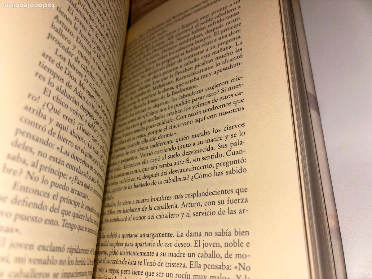 Libros de segunda mano: Parzival Wolfram von Eschenbach / 1999 / Siruela - Foto 8
