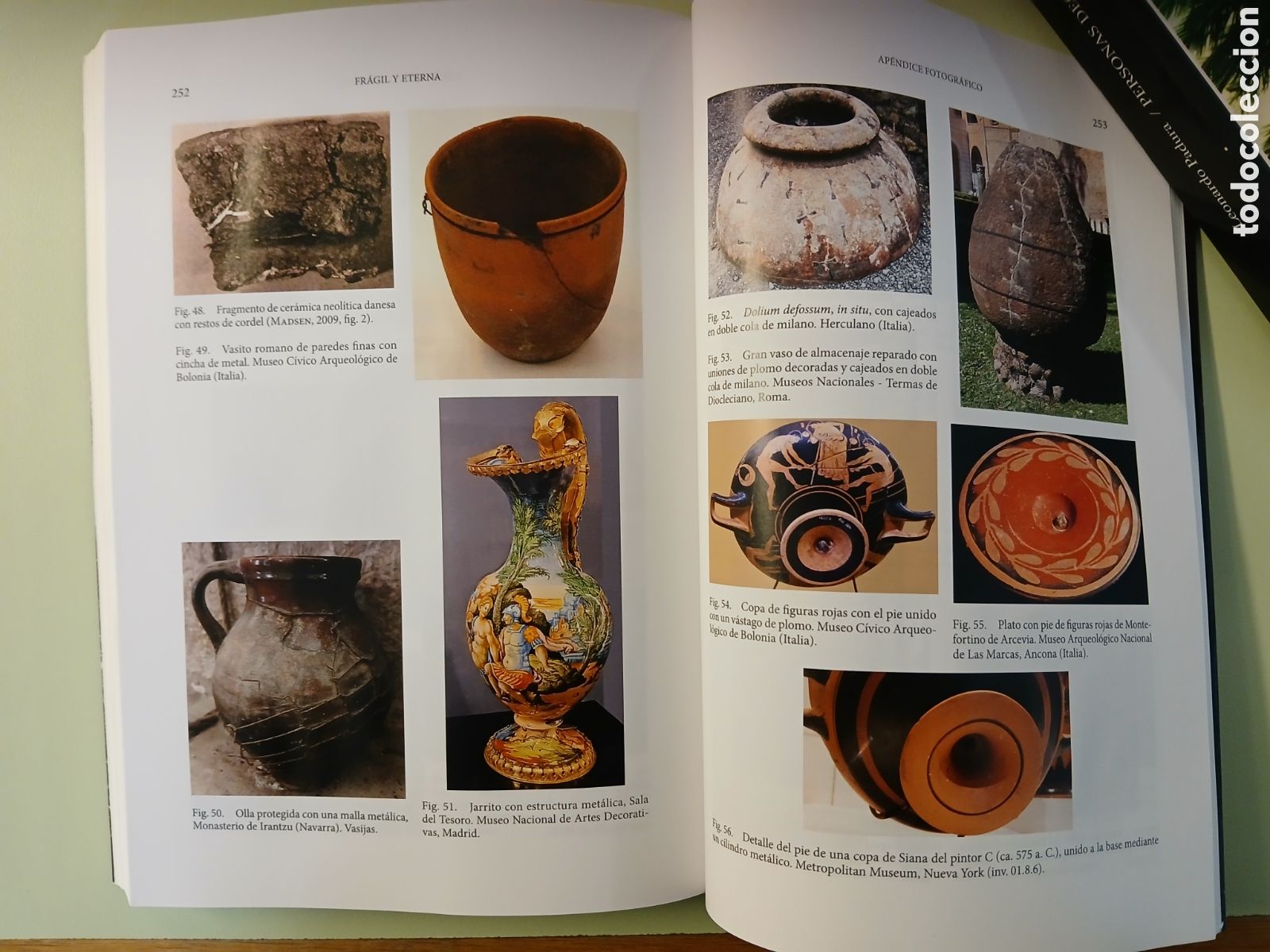 Libros de segunda mano: Fr&aacute;gil y eterna. Carmen D&aacute;vila Buitr&oacute;n. - Foto 13