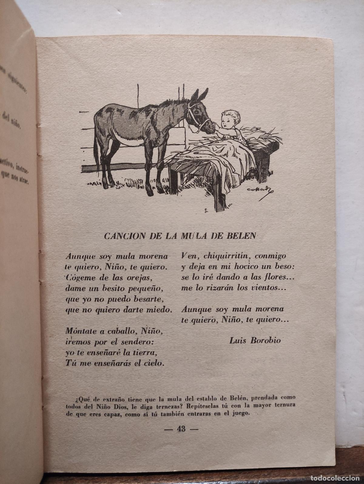 Libros de segunda mano: MI LIBRO DE ESPA&Ntilde;OL - JAVIER DE ARALAR - Foto 4