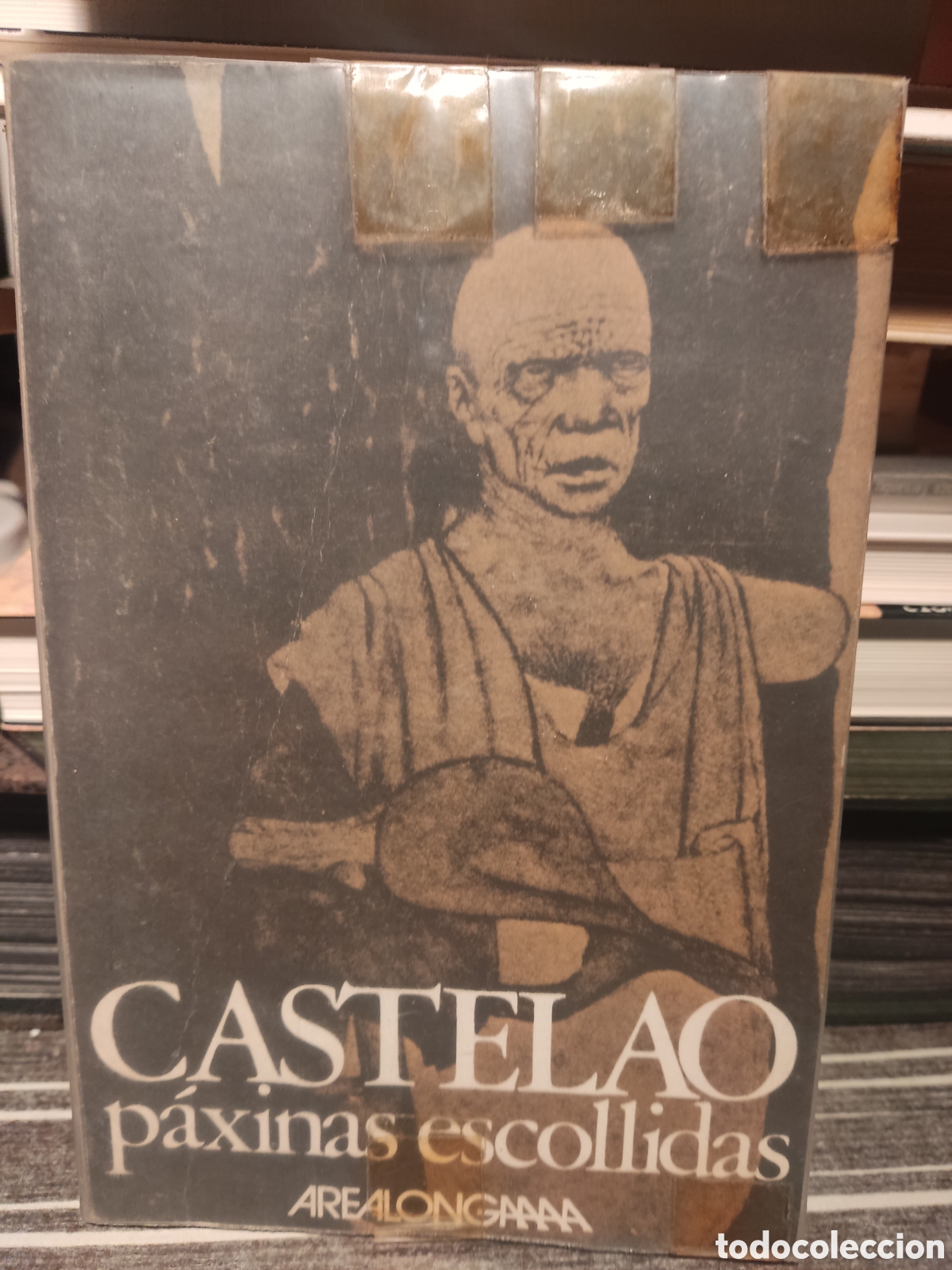 Libros de segunda mano: Castelao paxinas escollidas - Foto 1