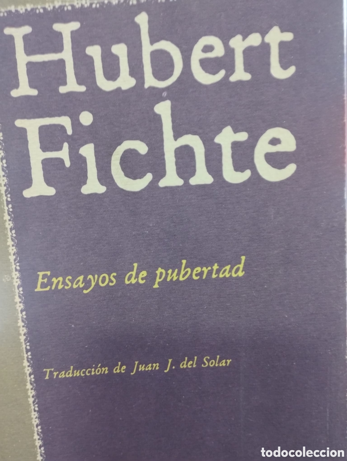 Libros de segunda mano: Ensayos de pubertad - Hubert Fichte - Foto 1