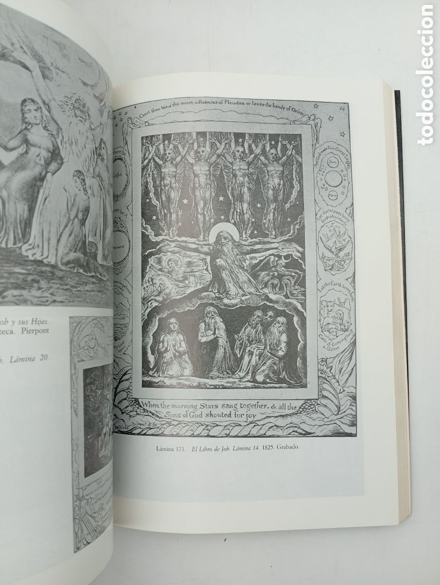 Libros de segunda mano: William Blake artista - Foto 5